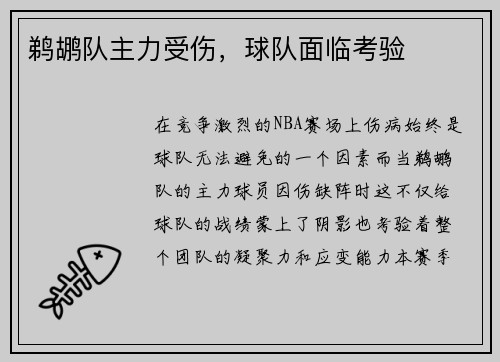 鹈鹕队主力受伤，球队面临考验